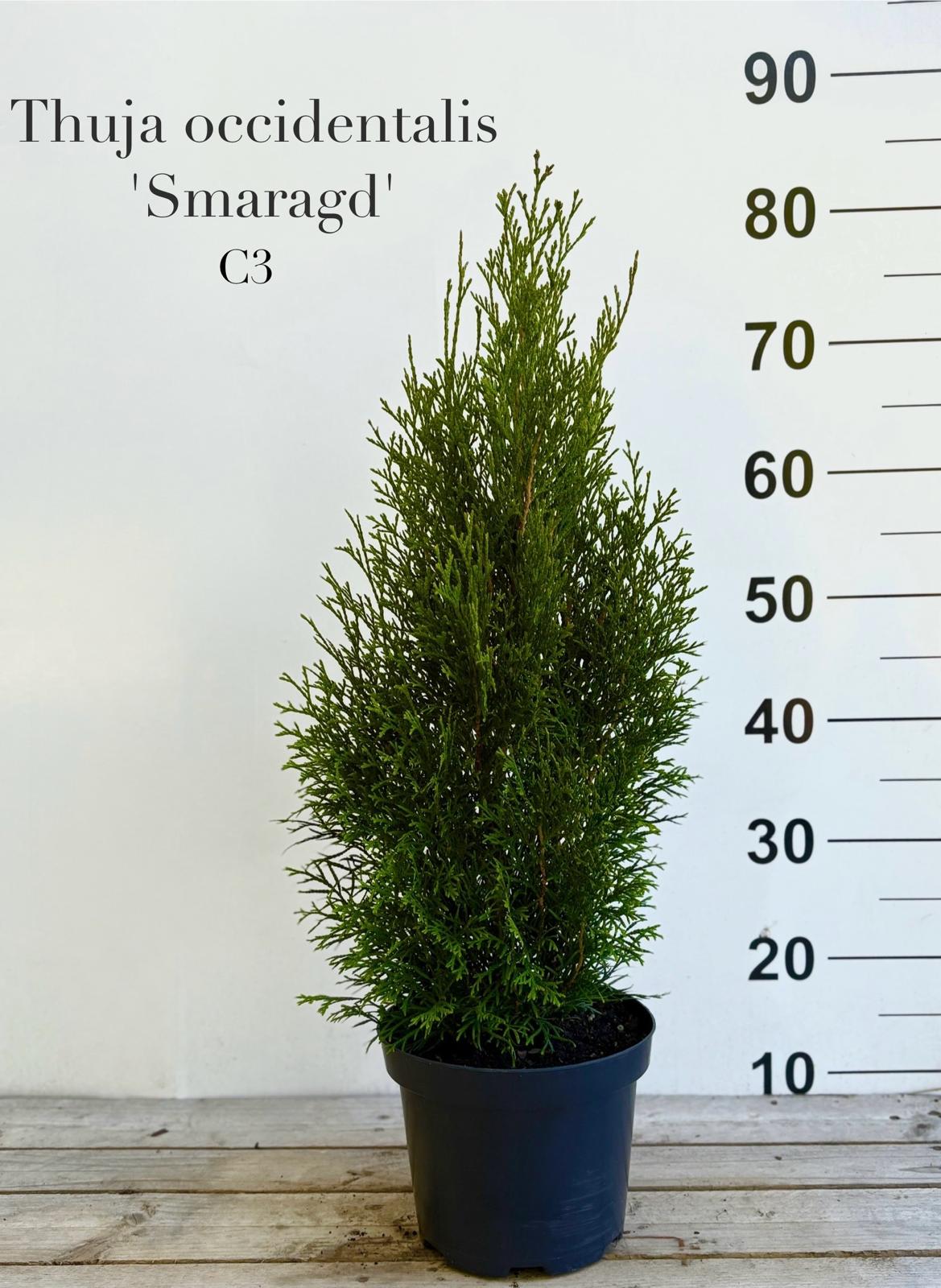 feb80268-860f-4fb6-b853-81702102ba5b