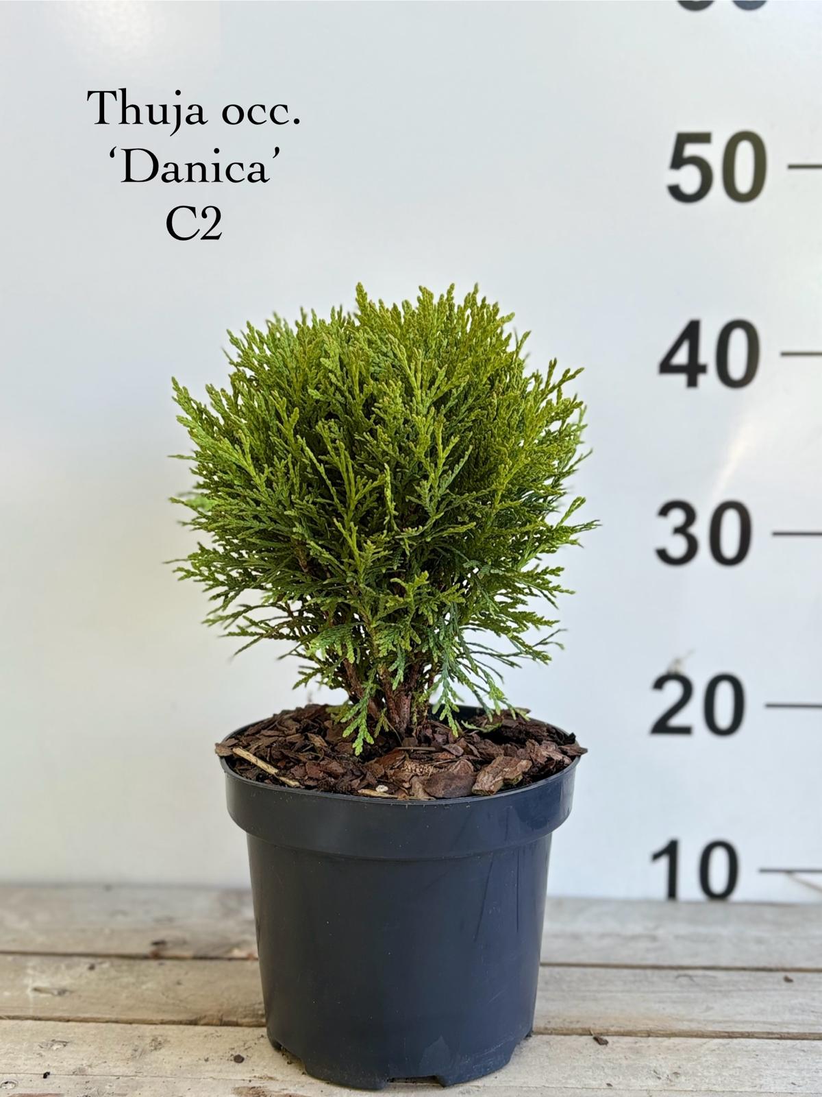 a873db6a-d24b-461e-b5f5-4c3256b07303