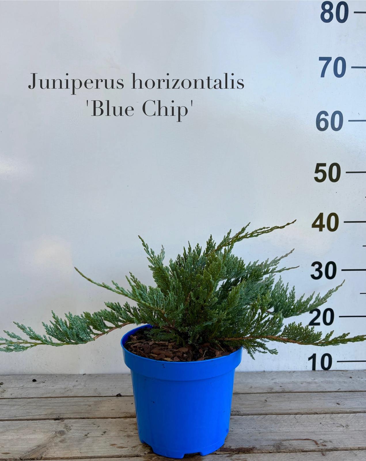 ede28a76-2f1e-45b9-980b-c6ecc70edc3f