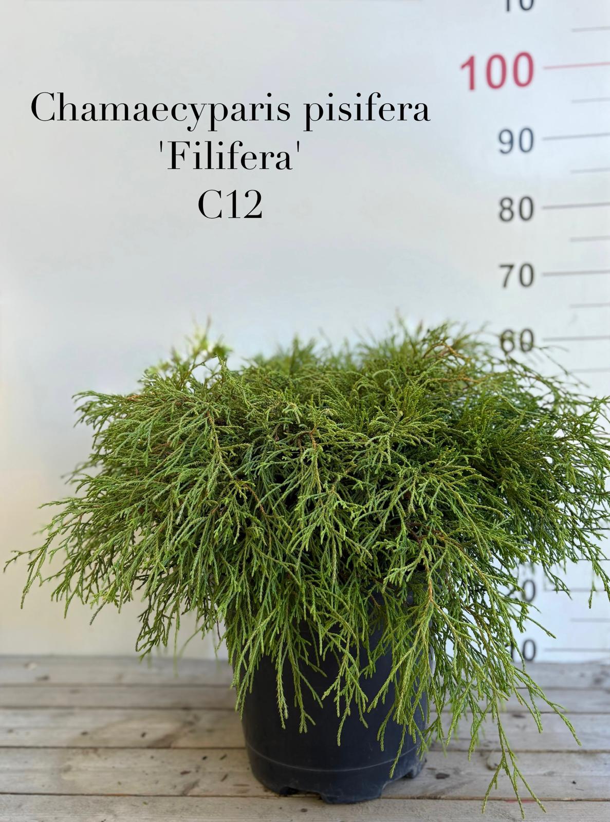 2c15b771-8239-4cc5-a594-2e84e0ee4d76