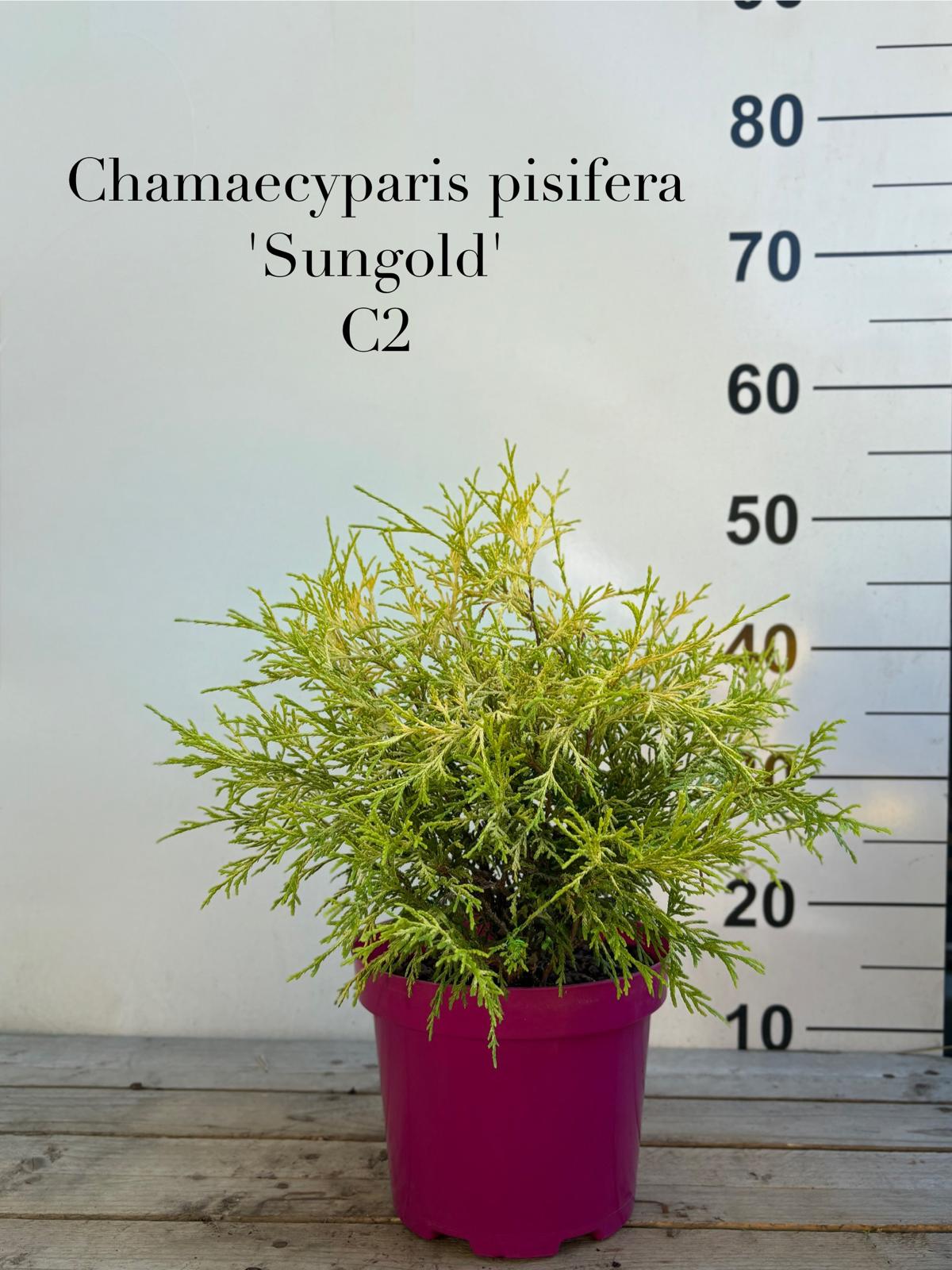 3de16b73-4712-4f76-9ed7-4fa558779a65