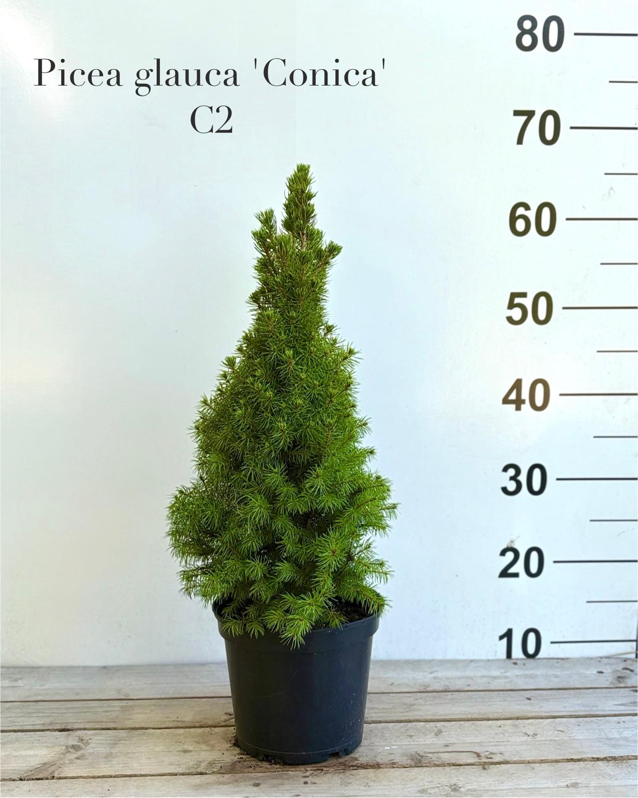 5e3f68ae-bef6-4b22-be1f-2260add21bc9