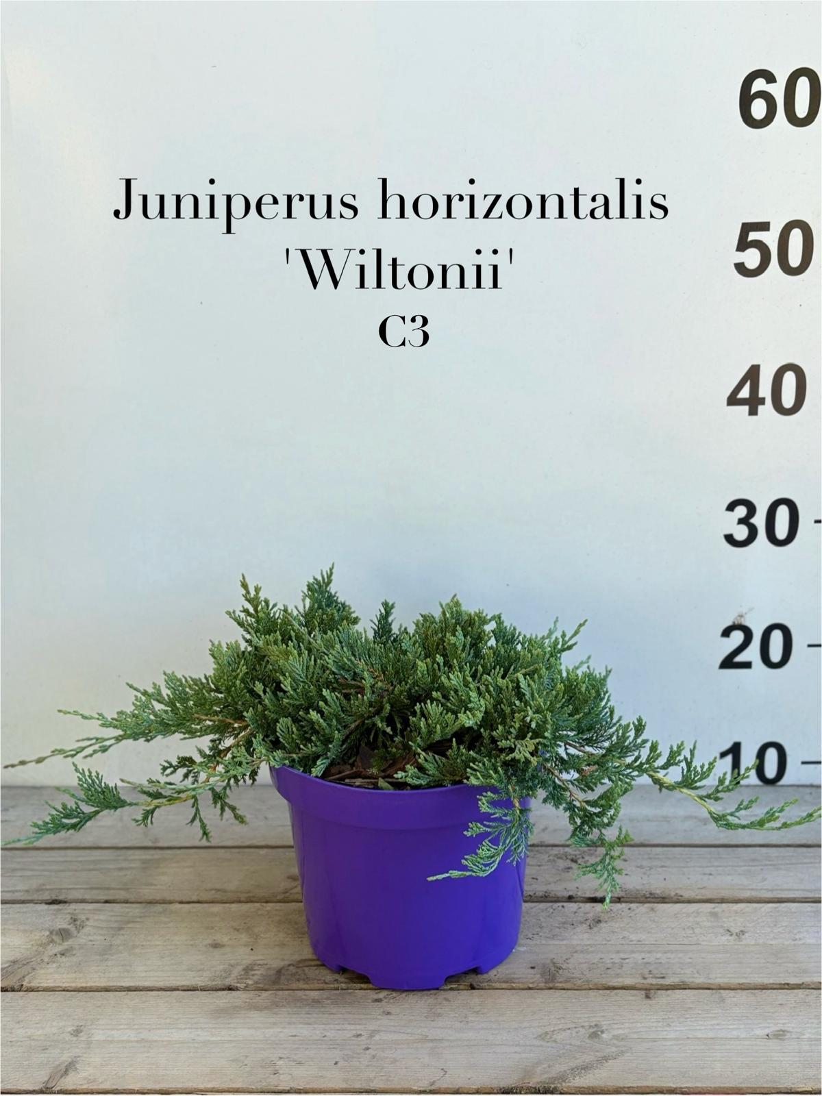 42c91fd0-fc0c-49c5-ade2-5cf6a95402a2