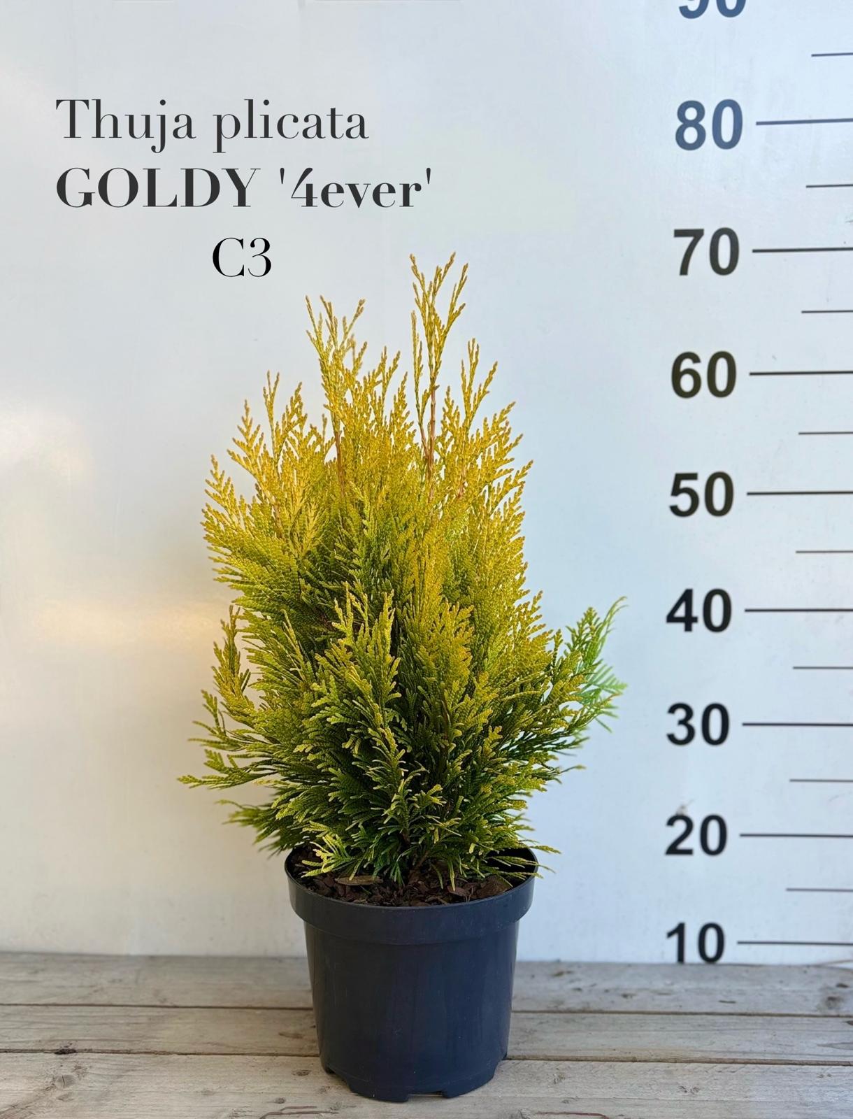 37352ff1-f16e-42a3-abe1-f23bd5a5d2ee