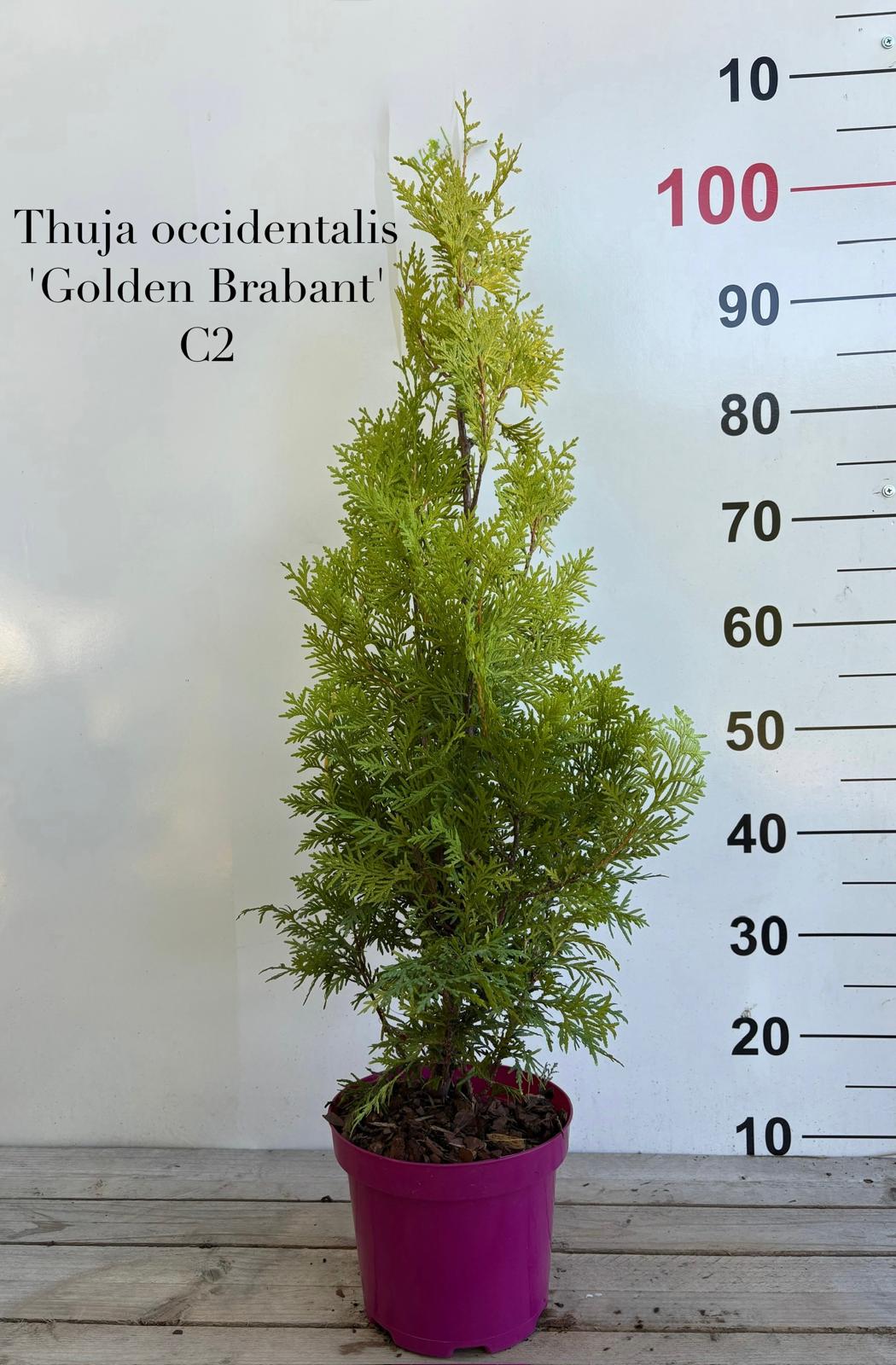 a9c096e4-5e0b-4a93-82f2-c49000e5baf5